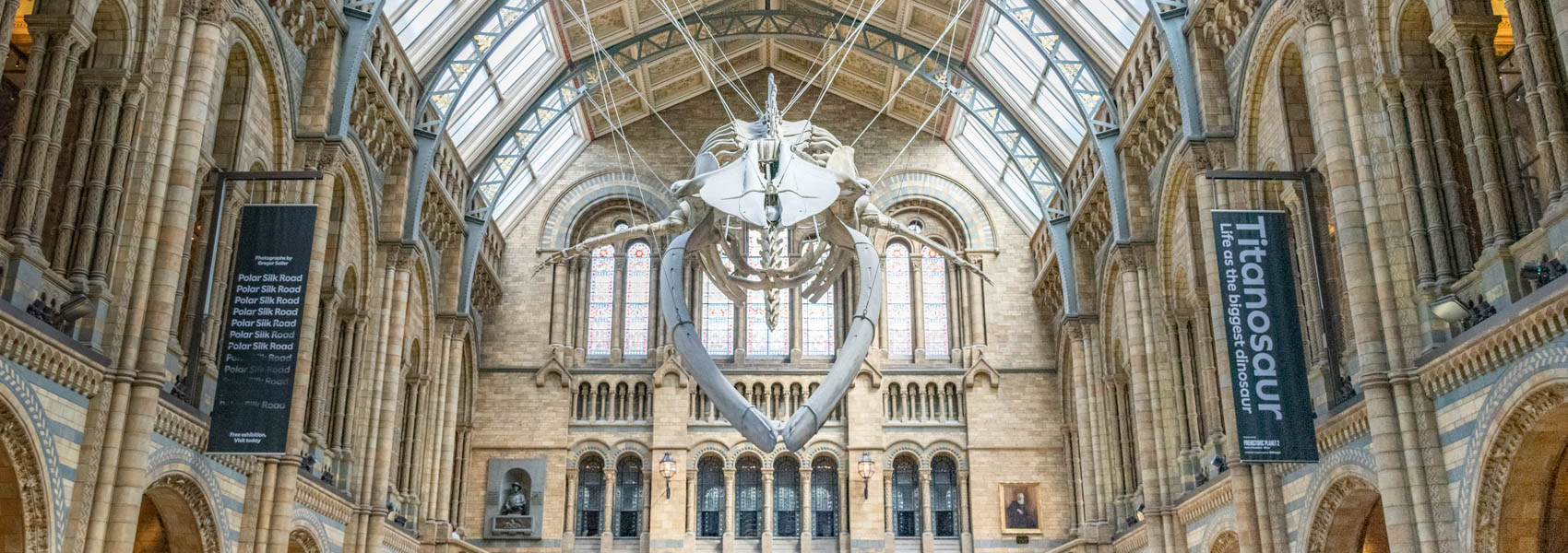 Visiter le musée d'Histoire Naturelle à Londres